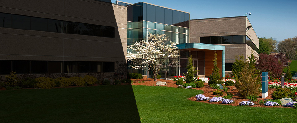 Whitestone Landscapers