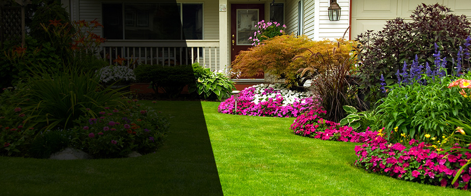 Whitestone Landscapers