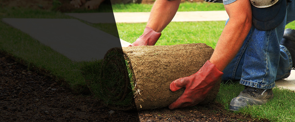 Whitestone Landscapers